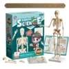 Kit de Anatomía para Niños STEM