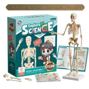 Kit de Anatomía para Niños STEM