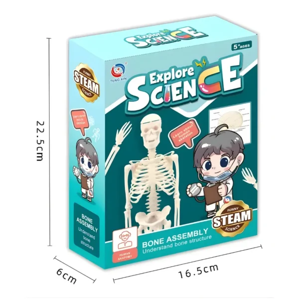 Kit de Anatomía para Niños STEM